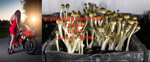 дмт Балабаново