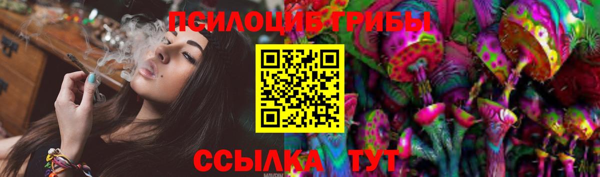 Псилоцибиновые грибы мухоморы Нерюнгри